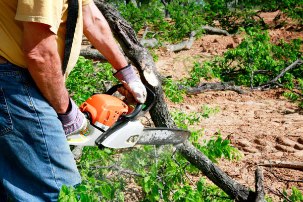 Best Leaf Removal  in Oxford, GA